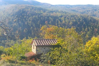 Podere di Maggio