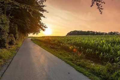 3 Persone case ad Tranekær