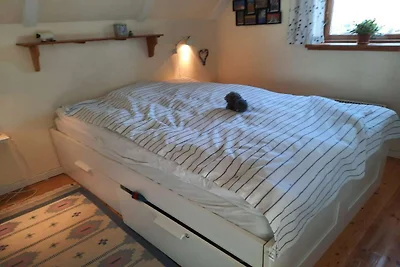 5 Sterne Ferienhaus in Grevinge