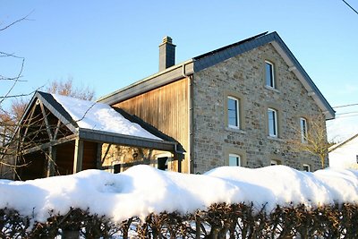 Schmuckes Ferienhaus mit Sauna in Vielsalm