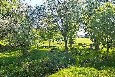 8 persoons vakantie huis in HÖGSBY