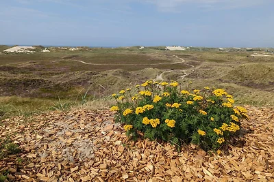 Gemutliches Strandhaus -- By Traum...