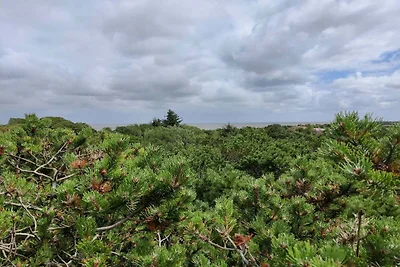 4 Personen Ferienhaus in Fanø-By Traum