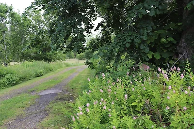 4 persoons vakantie huis in KARL GUSTAV