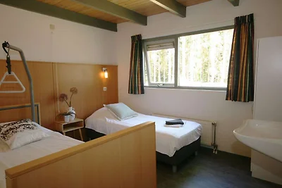 Angepasster Bungalow in Appelscha mit...