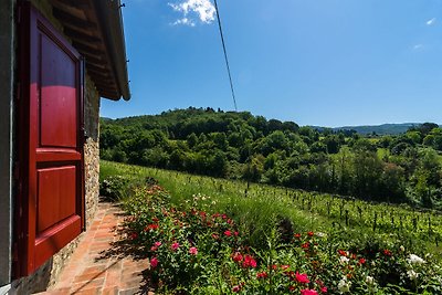 Gemütliche Ferienwohnung mit Pool