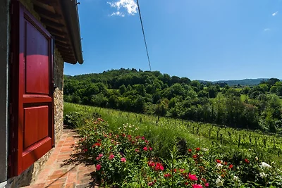Casa Vacanze nel Chianti con Piscina