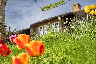 Ferienhaus in Pellworm mit Schwimmbecken