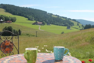 Zipfelhanisenhäusle