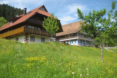 Kuća za odmor Dopust za oporavak Zell am Harmersbach