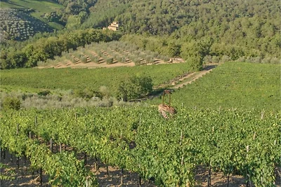 Wohnung mit Klimaanlage in Chianti