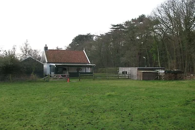 Ferienhaus mit 1 Schlafzimmer