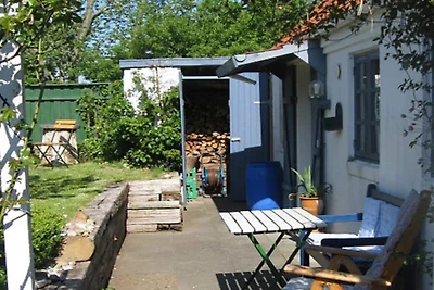 4 persoons vakantie huis in Bramming-By Traum