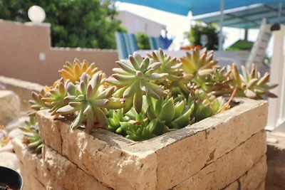 Apartments Villa Marijana - One Bedroom Apart...