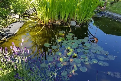 Ferienwohnung in Waren (Müritz)