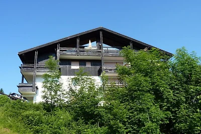 Panoramic view in Steibis