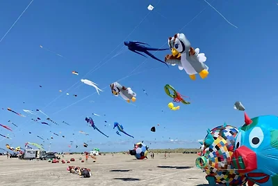 6 Personen Ferienhaus in Fanø-By Traum