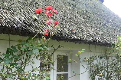 Ferienhaus mit 2 Schlafzimmer