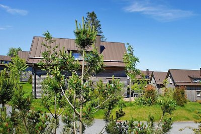 Ferienhäuser, Torfhaus Harz