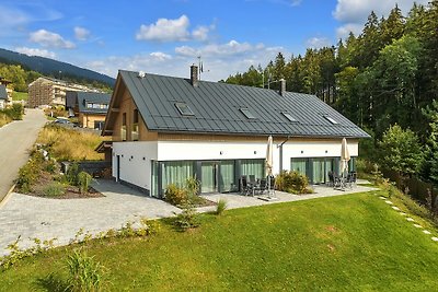 Komfortable Villa in Cerny Dul mit Sauna