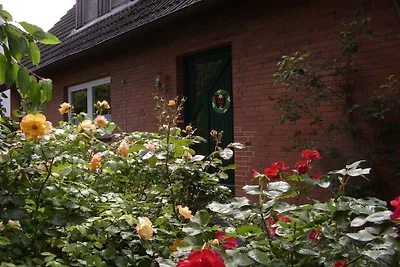 Ferienwohnung mit 2 Schlafzimmer
