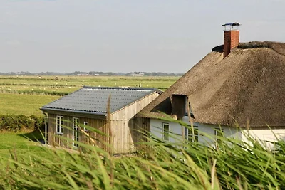 Ferienhaus mit 3 Schlafzimmer