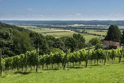 Ferienhaus im Weingarten Das Weinberg