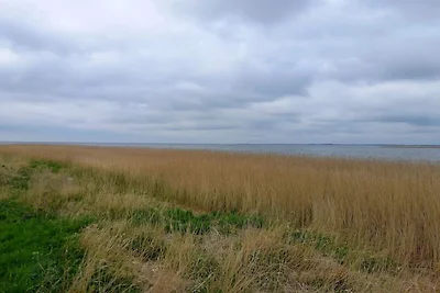 6 Personen Ferienhaus in Ulfborg-By Traum