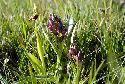 10 Personen Ferienhaus in FÄRJESTADEN