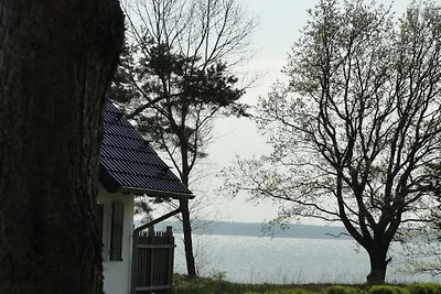Ferienhaus in Rankwitz mit Schwimmbecken