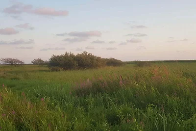 8 Personen Ferienhaus in Skjern-By Traum
