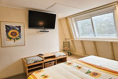 OK24 Vakantiehuis met hond Oostkapelle