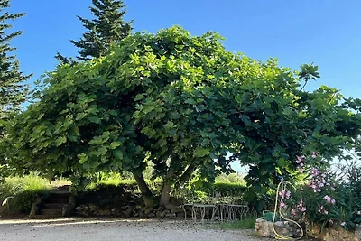 Villa in rio elba mit Barbecue und Wifi