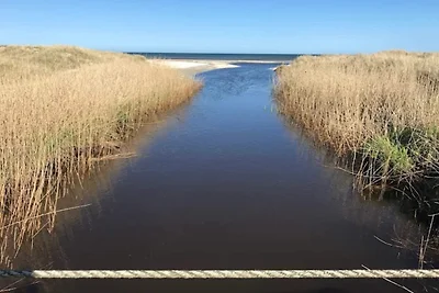 Serenite en bord de mer a Knasborg-By Traum