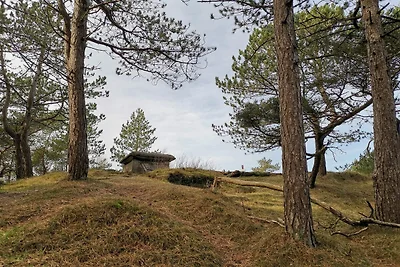 4 Personen Ferienhaus in Oksbøl-By Traum