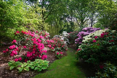 Luxurioses Spa-Retreat in Lolland -- By Traum...