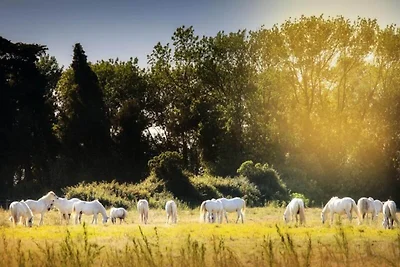 Superior-Zimmer für 2 Personen