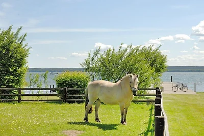 Seepark Heidenholz, Plau am See