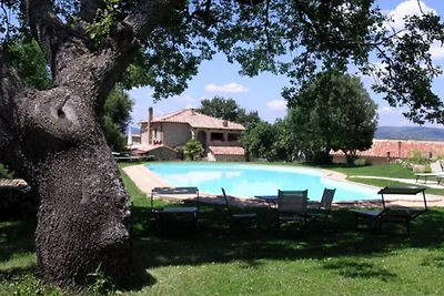 Angenehmes Ferienhaus mit privater Terrasse