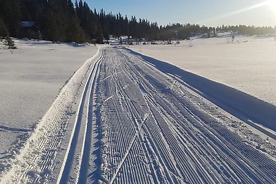 4 Personen Ferienhaus in EGGEDAL