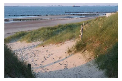 Strand en Duinen 1