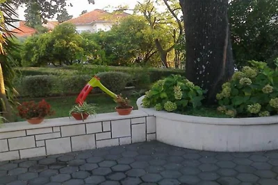 Apartman Borić A2 - Apartment