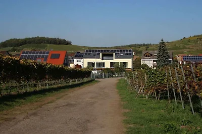 Ferienwohnung mit 1 Schlafzimmer
