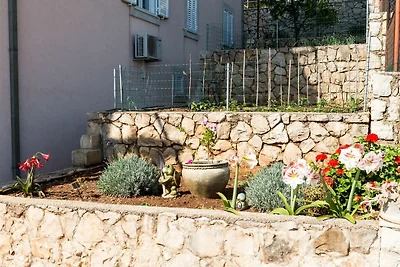 Villa Barbara - Comfort Studio with Terrace a...
