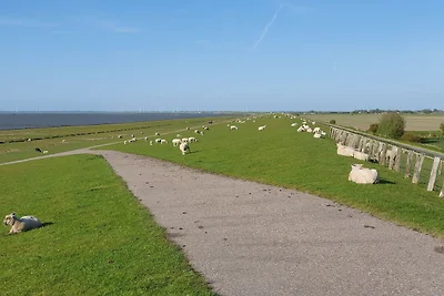 Penthouse aan het Noorderstrand op de dijk