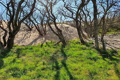 4 Sterne Ferienhaus in Harplinge