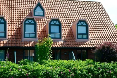 Holiday Residence Oystercatcher I/No. 1