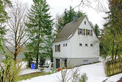 Gezellig vakantiehuis in Sauerland in de...