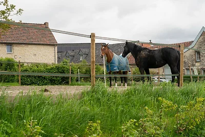 Wohnung in Ubachsberg nahe Wanderwege