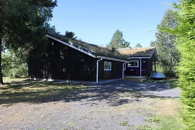 4 Sterne Ferienhaus in Søndeled